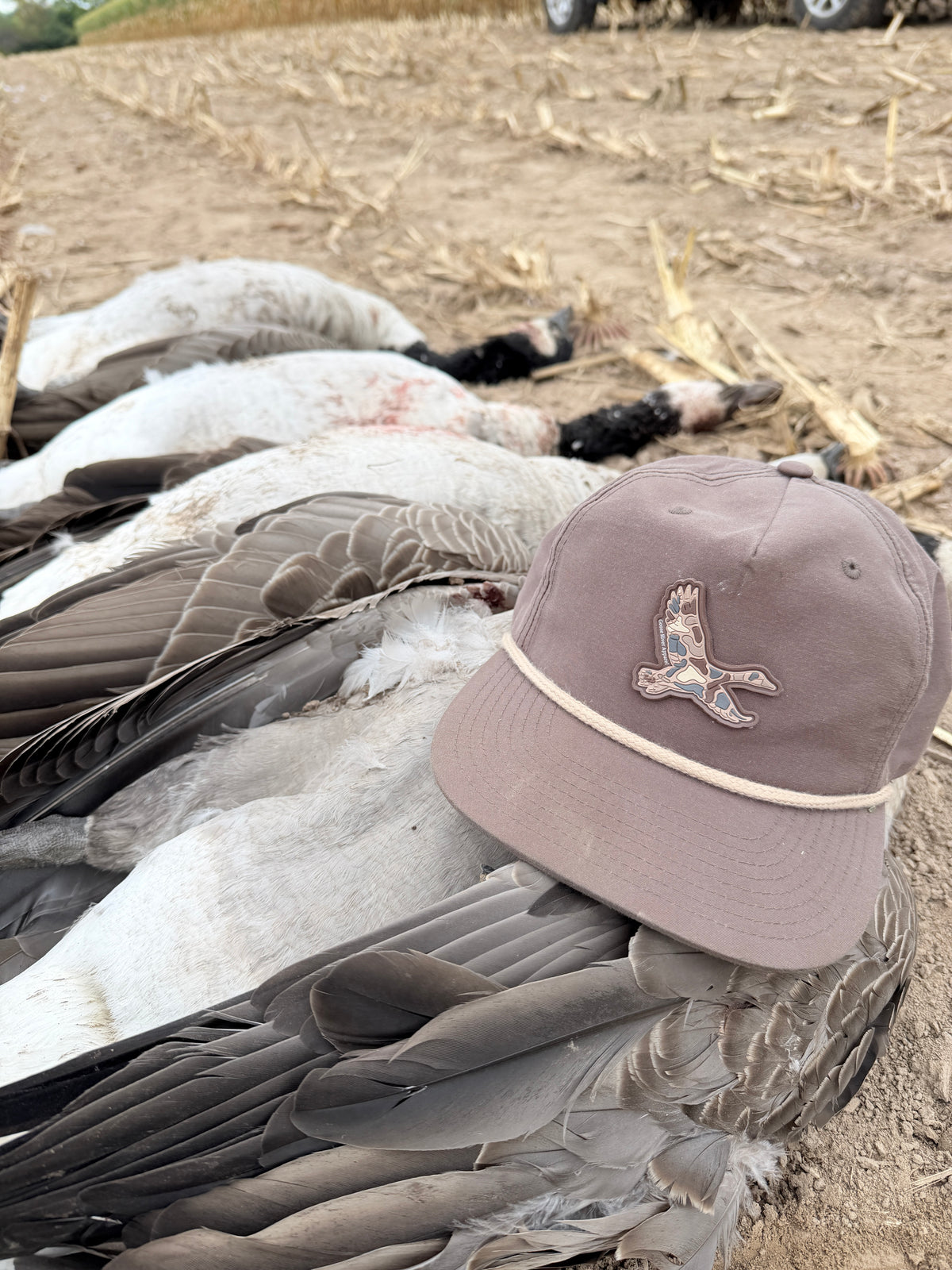 Game Changer Cap