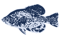 Slabs Sticker